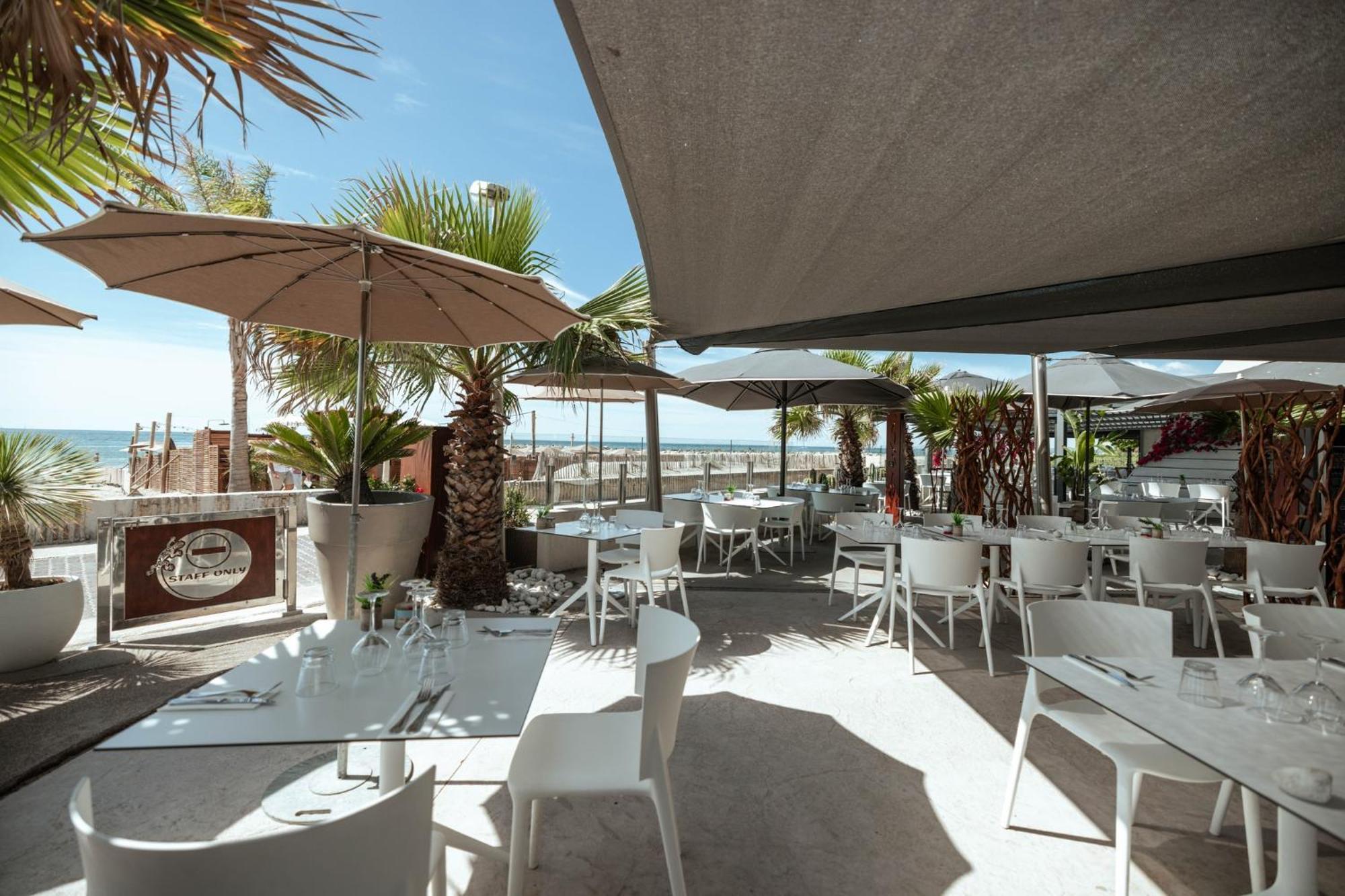 Appartement 1Ere Ligne Piscine Terrasse Au Bord De La Plage Front De Mer Avec 6 Velos Palavas-les-Flots Eksteriør billede