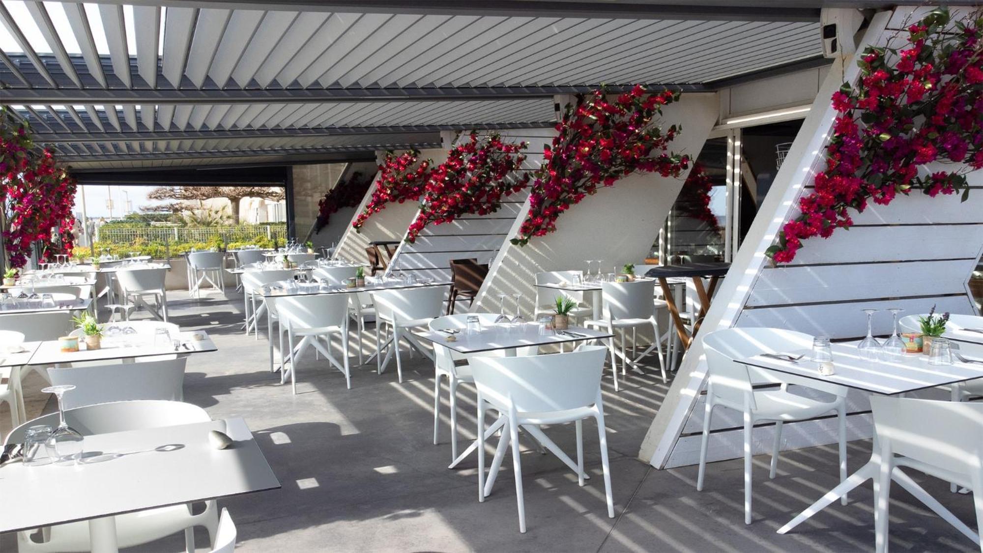 Appartement 1Ere Ligne Piscine Terrasse Au Bord De La Plage Front De Mer Avec 6 Velos Palavas-les-Flots Eksteriør billede